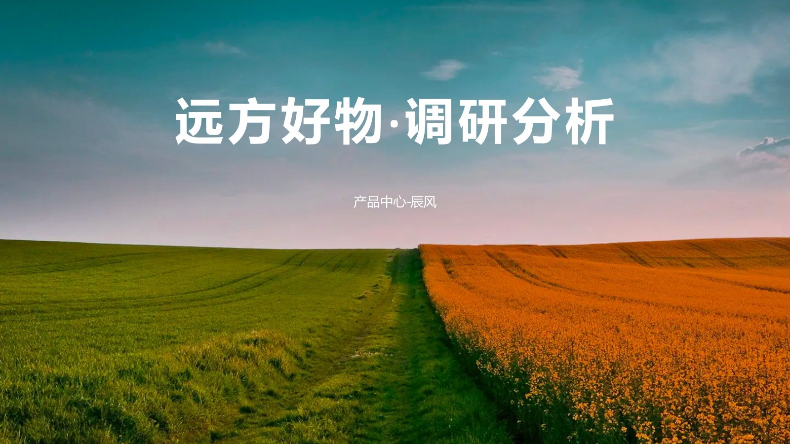 远方好物调研报告在线预览第 1 页