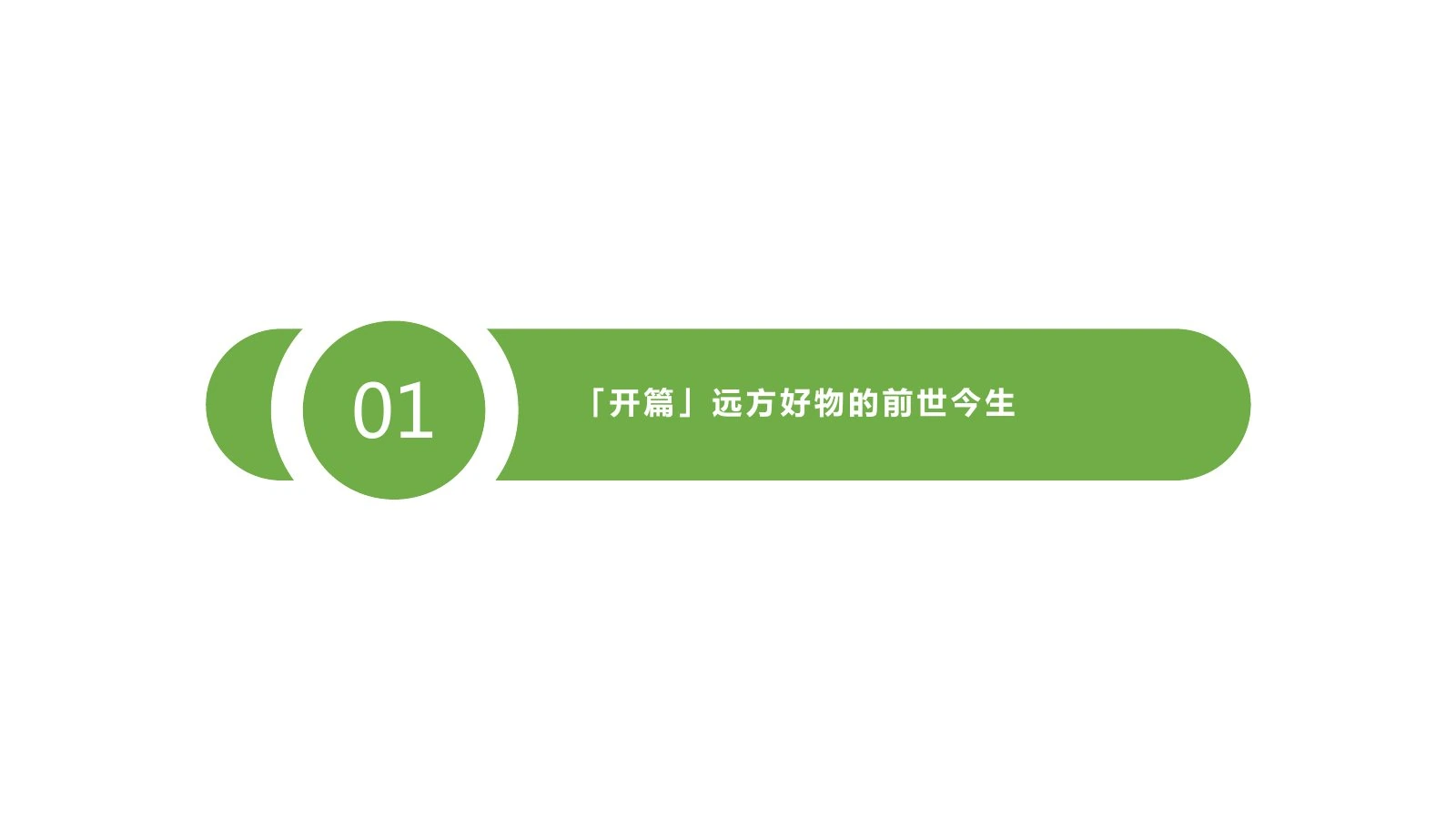 远方好物调研报告在线预览第 3 页