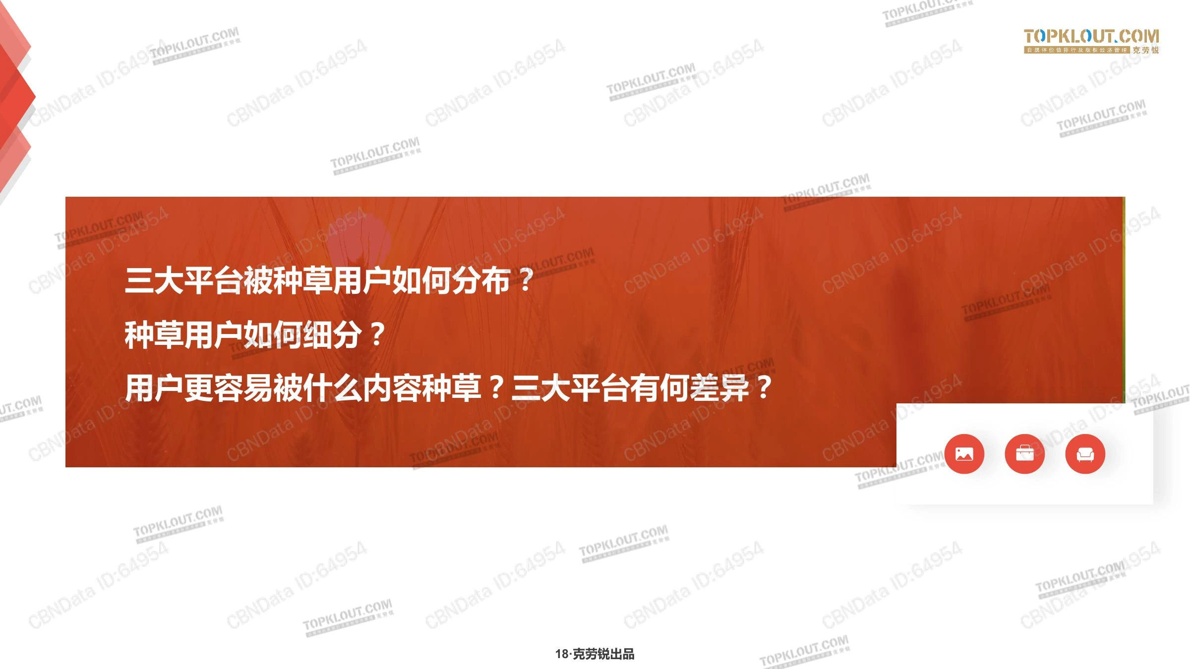 种草力研究在线预览第 18 页