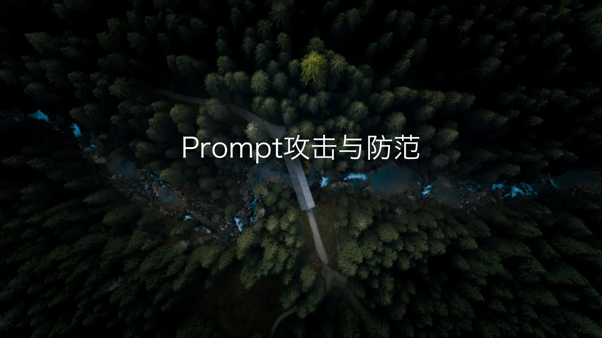 提示工程和 Prompt 调优技巧第 25 页